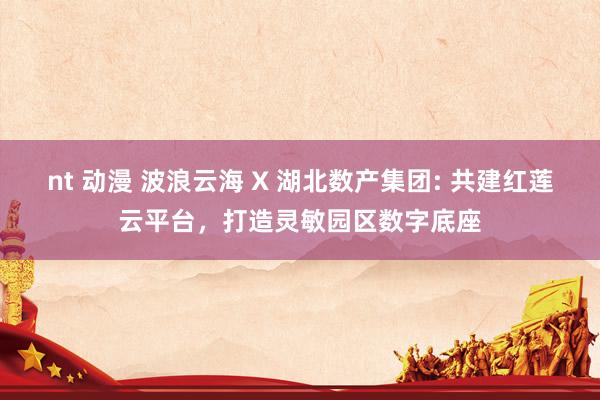 nt 动漫 波浪云海 X 湖北数产集团: 共建红莲云平台，打造灵敏园区数字底座