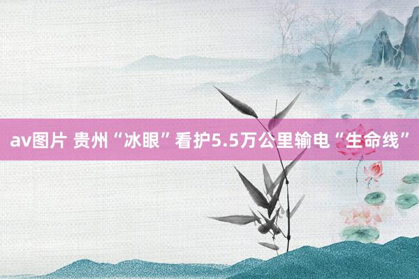 av图片 贵州“冰眼”看护5.5万公里输电“生命线”
