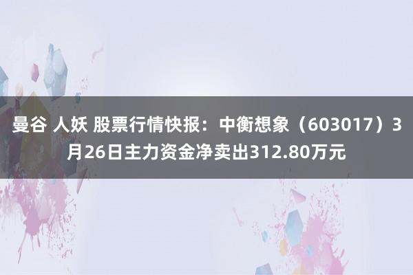 曼谷 人妖 股票行情快报：中衡想象（603017）3月26日主力资金净卖出312.80万元