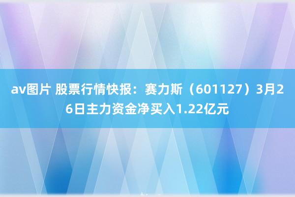av图片 股票行情快报：赛力斯（601127）3月26日主力资金净买入1.22亿元