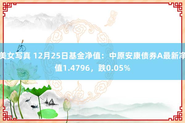 美女写真 12月25日基金净值：中原安康债券A最新净值1.4796，跌0.05%