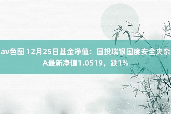 av色图 12月25日基金净值：国投瑞银国度安全夹杂A最新净值1.0519，跌1%