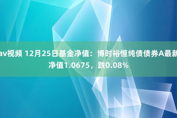 av视频 12月25日基金净值：博时裕恒纯债债券A最新净值1.0675，跌0.08%