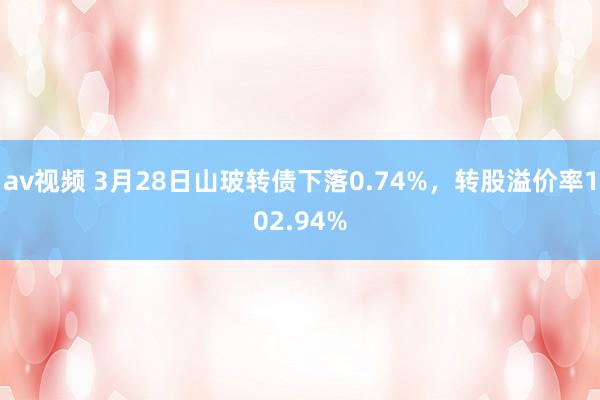 av视频 3月28日山玻转债下落0.74%，转股溢价率102.94%