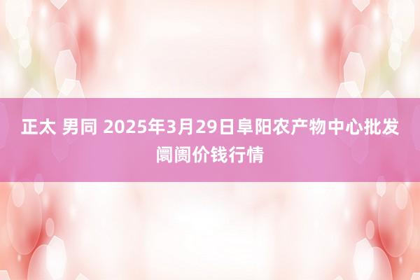 正太 男同 2025年3月29日阜阳农产物中心批发阛阓价钱行情