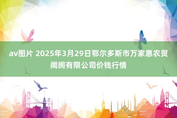 av图片 2025年3月29日鄂尔多斯市万家惠农贸阛阓有限公司价钱行情