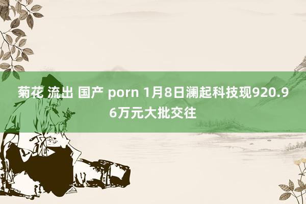 菊花 流出 国产 porn 1月8日澜起科技现920.96万元大批交往