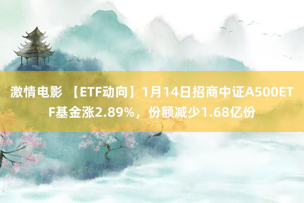 激情电影 【ETF动向】1月14日招商中证A500ETF基金涨2.89%，份额减少1.68亿份