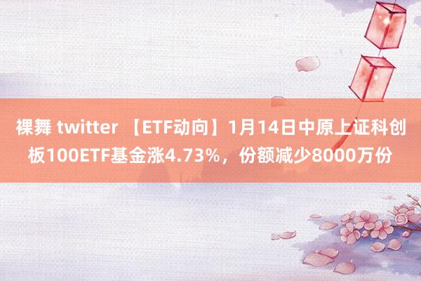 裸舞 twitter 【ETF动向】1月14日中原上证科创板100ETF基金涨4.73%，份额减少8000万份