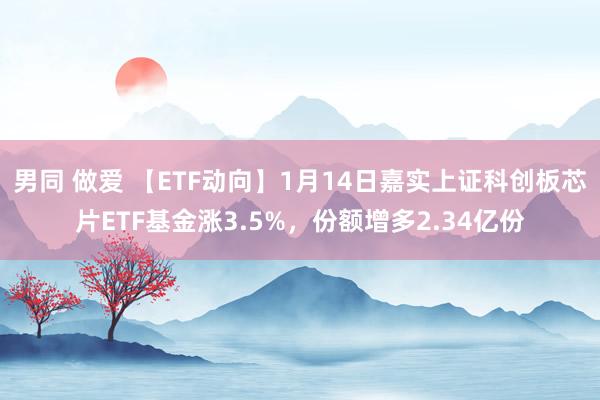 男同 做爱 【ETF动向】1月14日嘉实上证科创板芯片ETF基金涨3.5%，份额增多2.34亿份