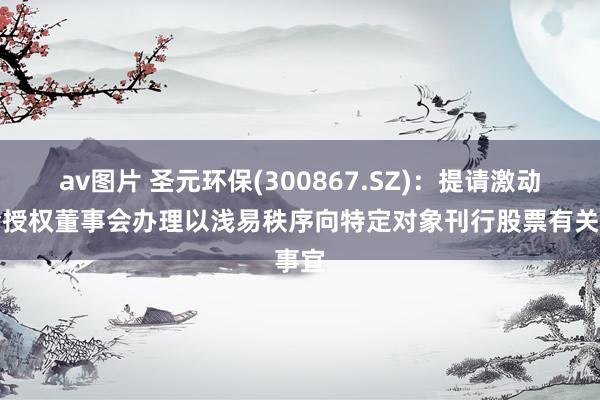 av图片 圣元环保(300867.SZ)：提请激动大会授权董事会办理以浅易秩序向特定对象刊行股票有关事宜