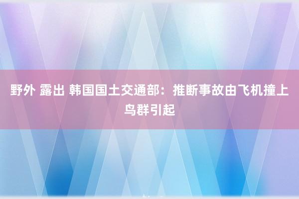 野外 露出 韩国国土交通部：推断事故由飞机撞上鸟群引起
