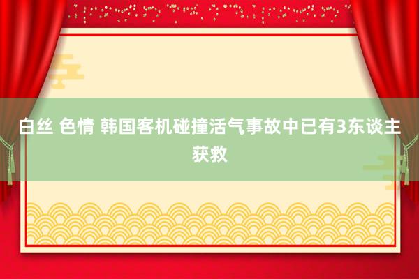 白丝 色情 韩国客机碰撞活气事故中已有3东谈主获救