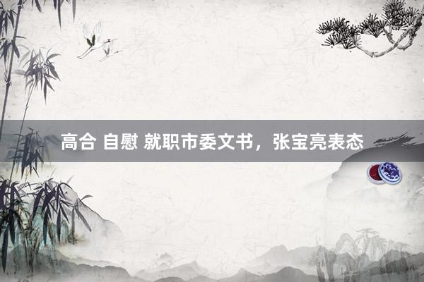 高合 自慰 就职市委文书，张宝亮表态