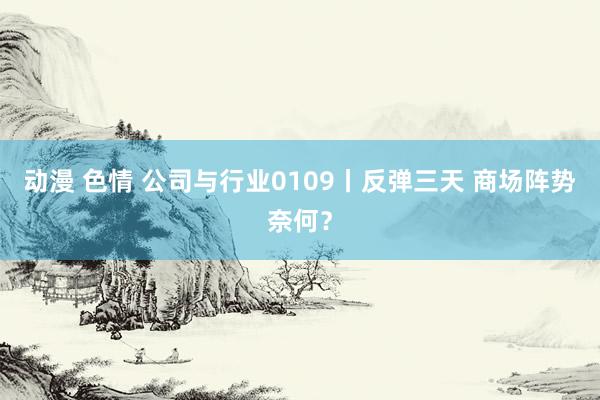 动漫 色情 公司与行业0109丨反弹三天 商场阵势奈何？