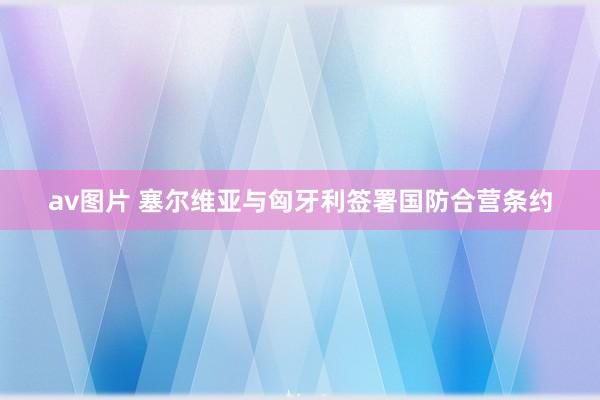 av图片 塞尔维亚与匈牙利签署国防合营条约