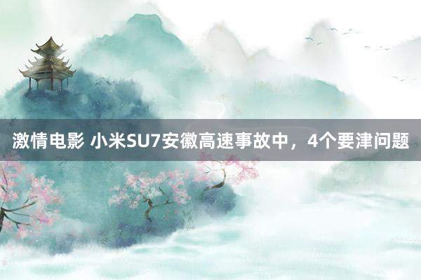 激情电影 小米SU7安徽高速事故中，4个要津问题