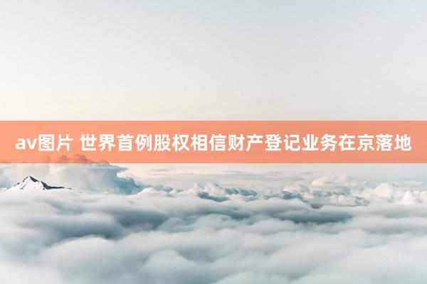 av图片 世界首例股权相信财产登记业务在京落地