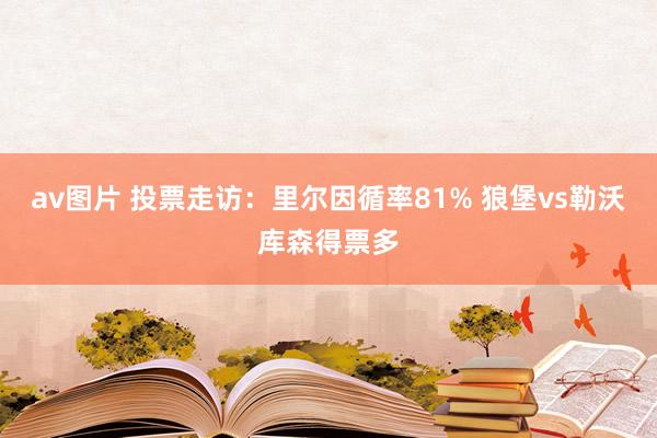 av图片 投票走访：里尔因循率81% 狼堡vs勒沃库森得票多