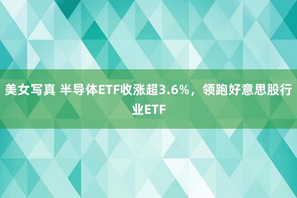 美女写真 半导体ETF收涨超3.6%，领跑好意思股行业ETF