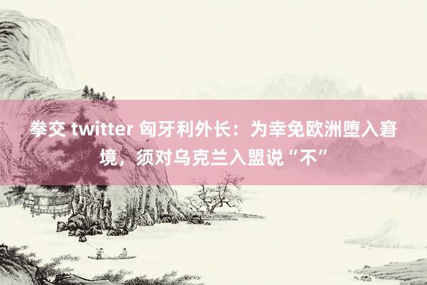 拳交 twitter 匈牙利外长：为幸免欧洲堕入窘境，须对乌克兰入盟说“不”