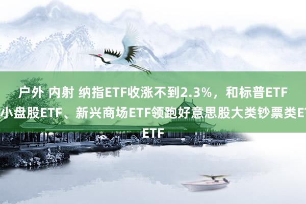 户外 内射 纳指ETF收涨不到2.3%，和标普ETF、小盘股ETF、新兴商场ETF领跑好意思股大类钞票类ETF