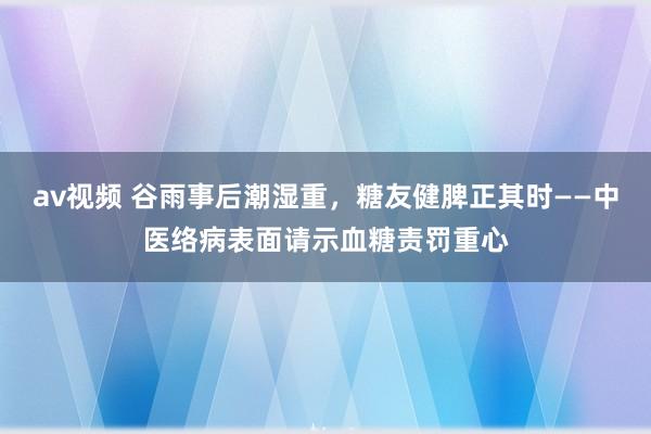 av视频 谷雨事后潮湿重，糖友健脾正其时——中医络病表面请示血糖责罚重心
