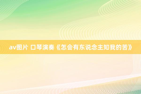 av图片 口琴演奏《怎会有东说念主知我的苦》